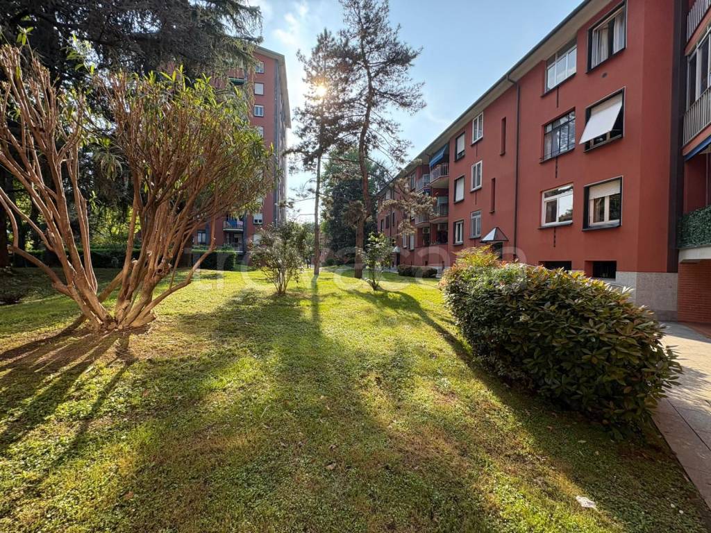 immagine annuncio 2 di 4