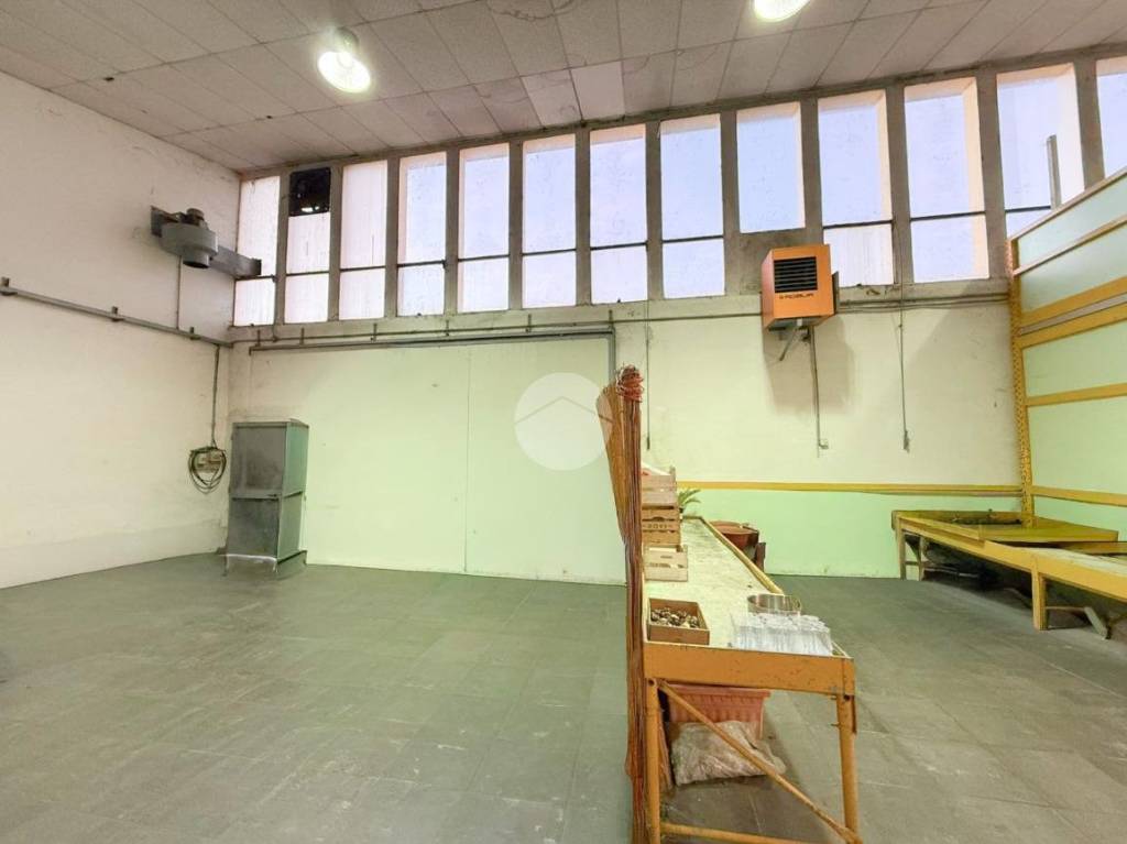 immagine annuncio 5 di 11