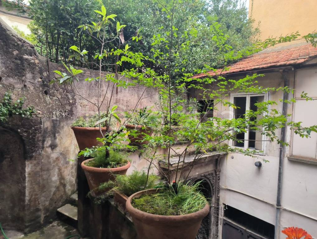 immagine annuncio 3 di 14