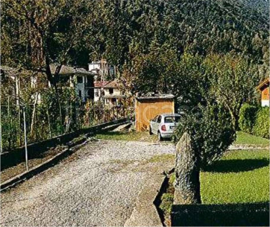 immagine annuncio 5 di 12