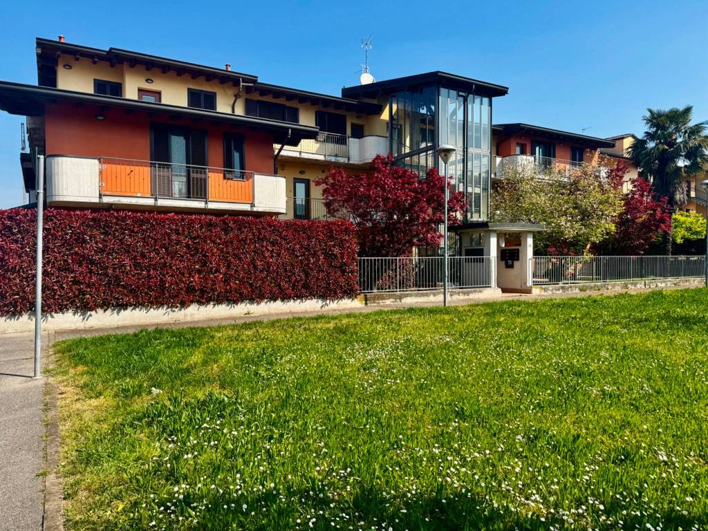 immagine annuncio 12 di 15