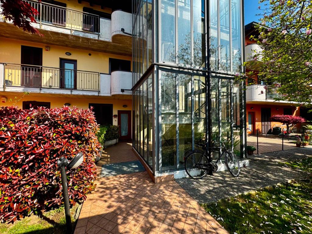 immagine annuncio 14 di 15