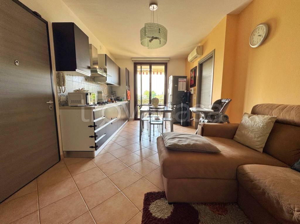 immagine annuncio 2 di 12