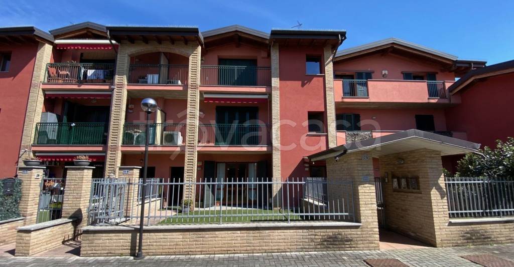 immagine annuncio 5 di 15