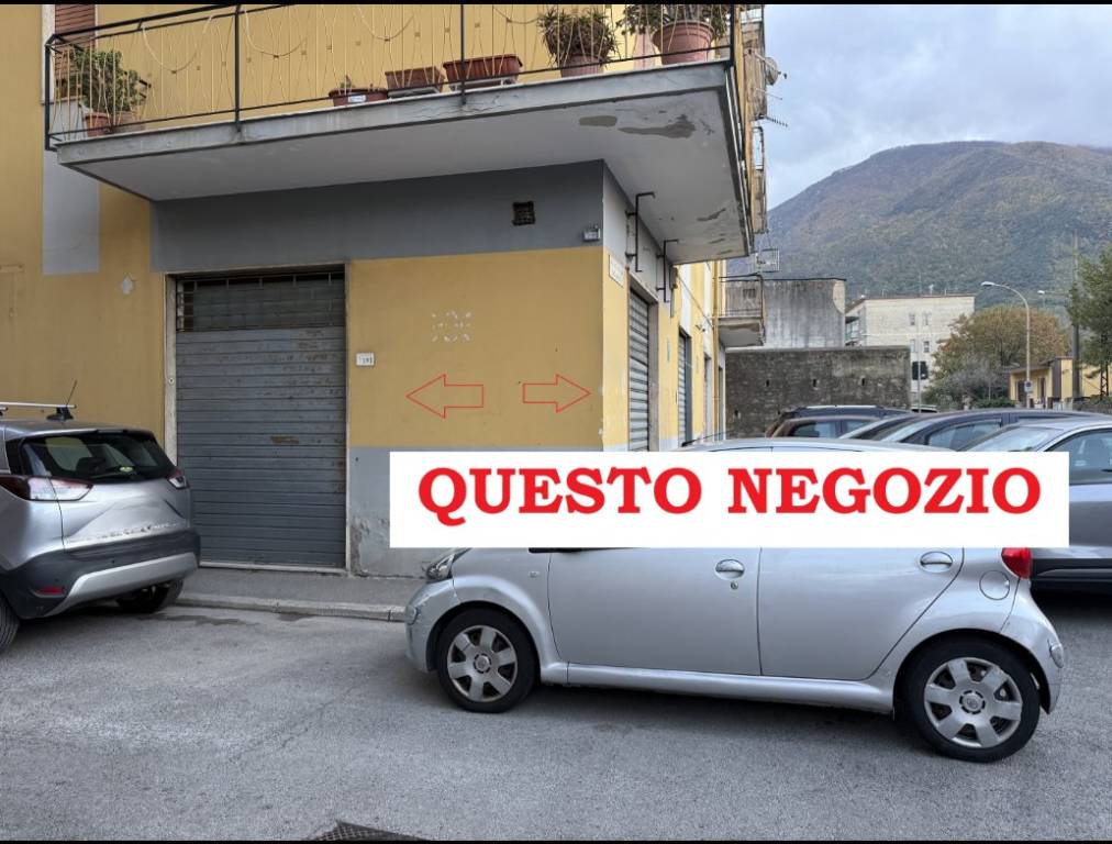 immagine annuncio 1 di 4