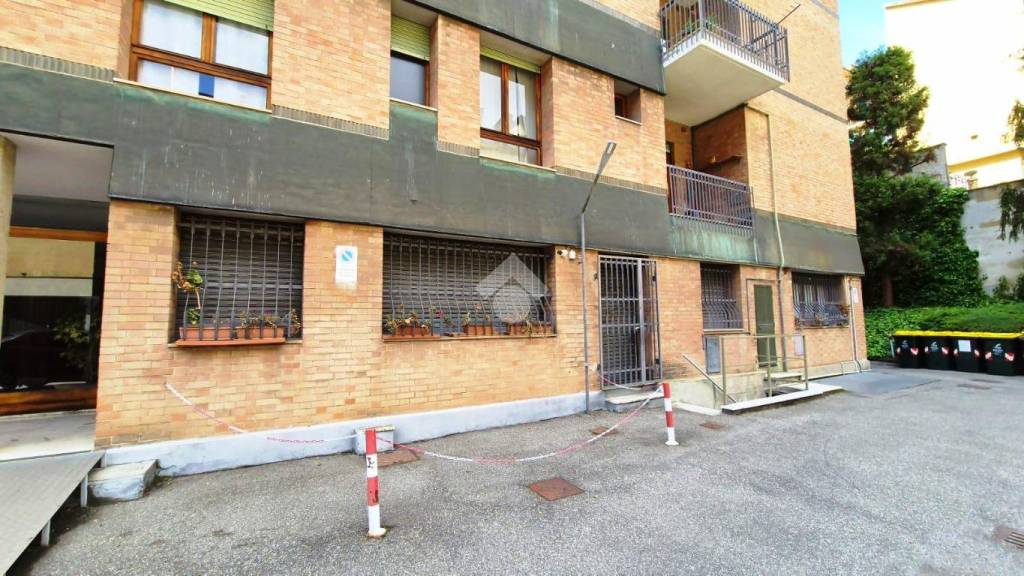 immagine annuncio 12 di 14