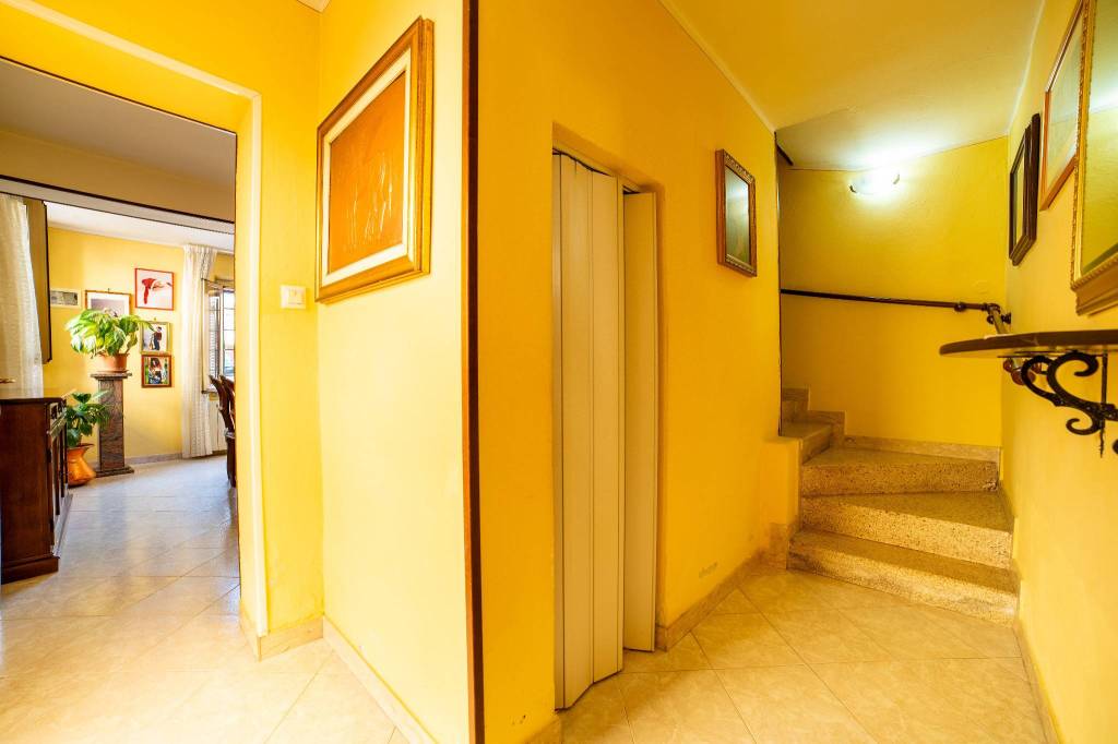 immagine annuncio 6 di 14