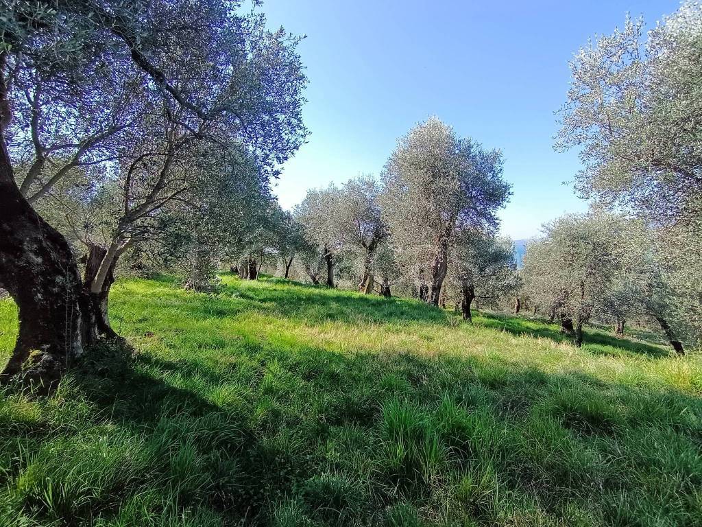 immagine annuncio 6 di 9