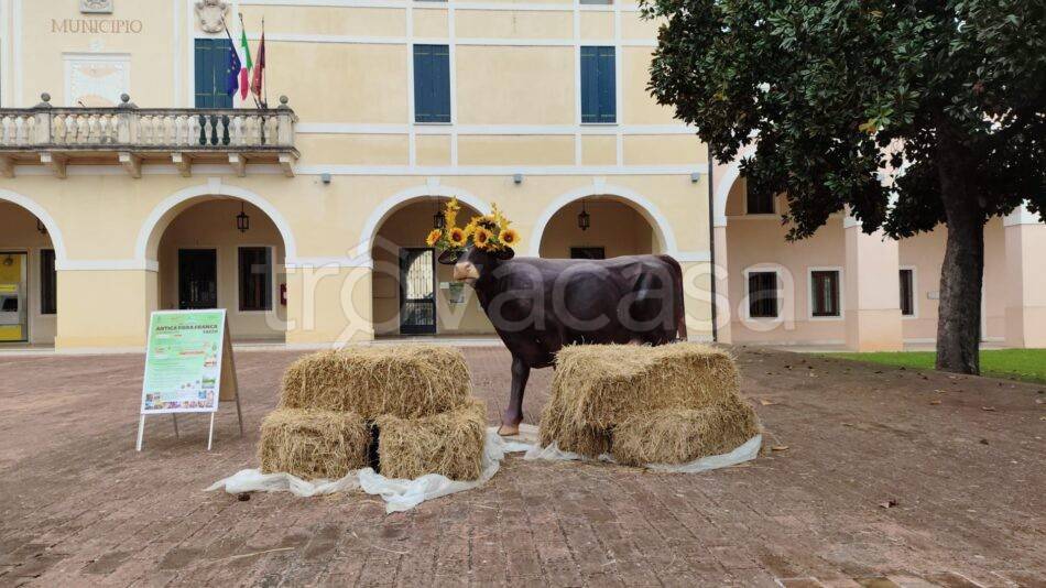 immagine annuncio 8 di 9