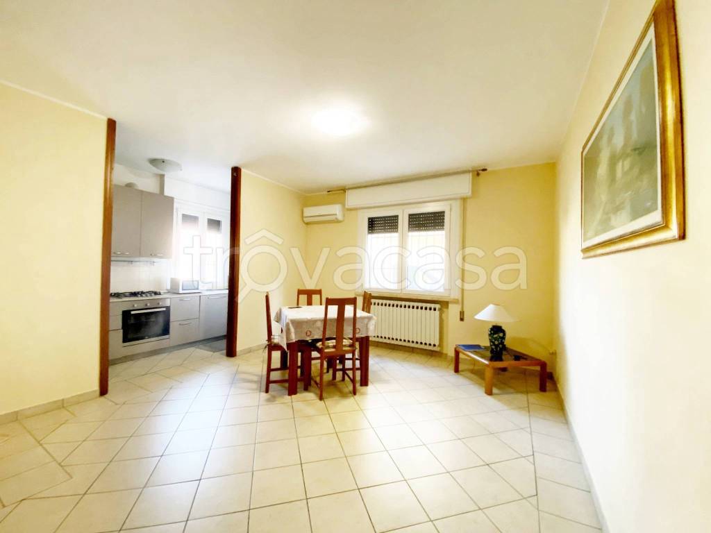 immagine annuncio 1 di 12