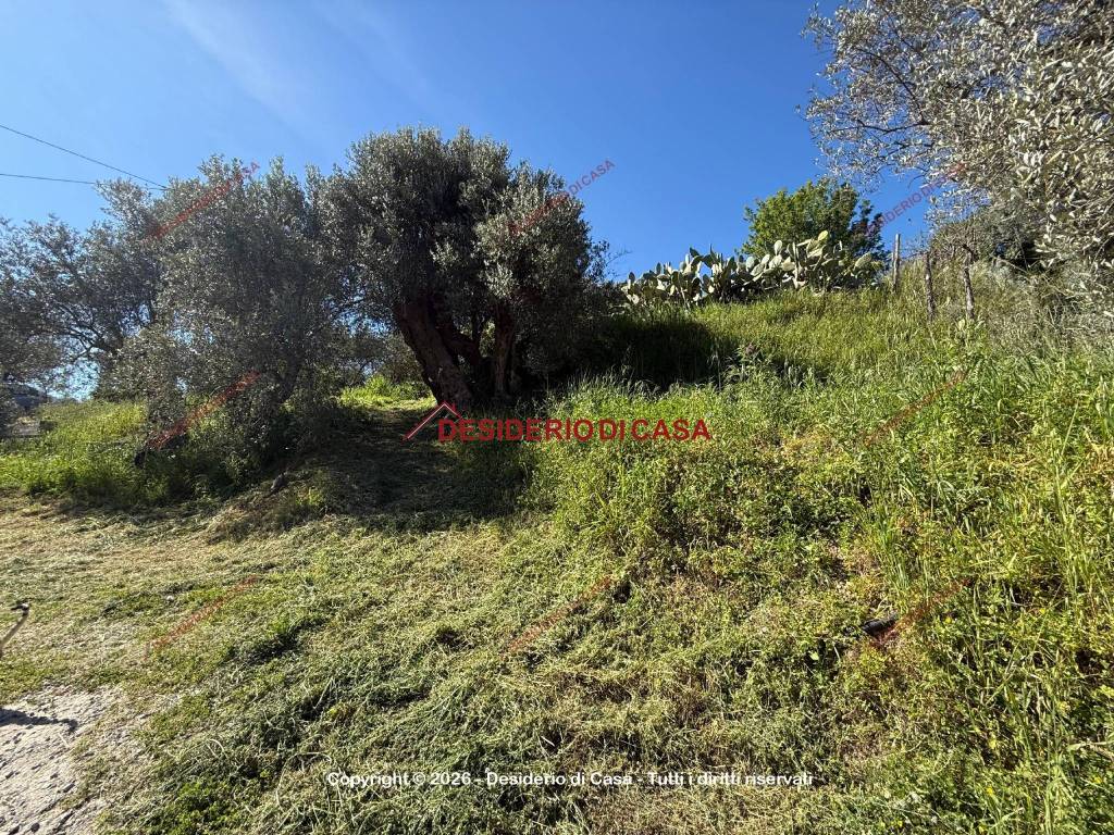 immagine annuncio 8 di 12