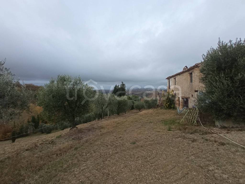 immagine annuncio 7 di 11