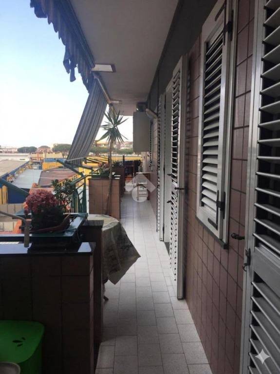 immagine annuncio 7 di 12