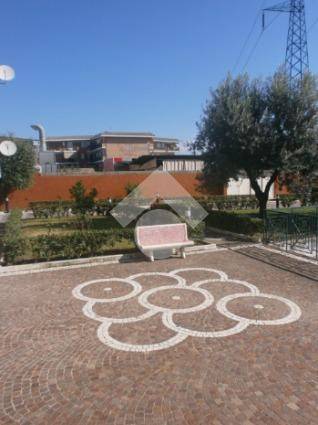 immagine annuncio 9 di 12