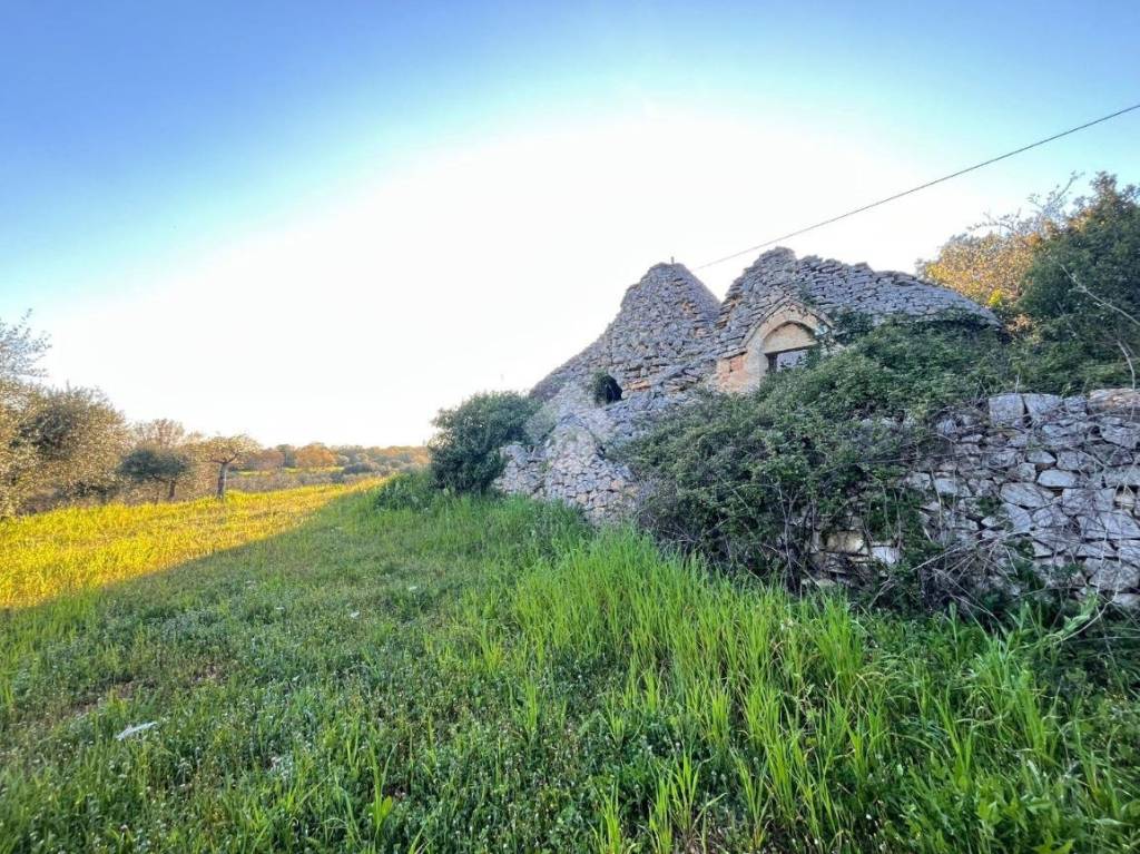 immagine annuncio 2 di 11