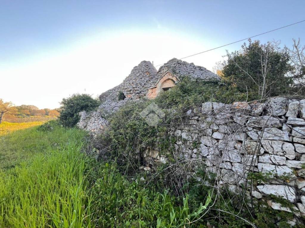 immagine annuncio 3 di 11