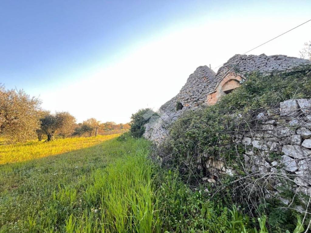 immagine annuncio 4 di 11