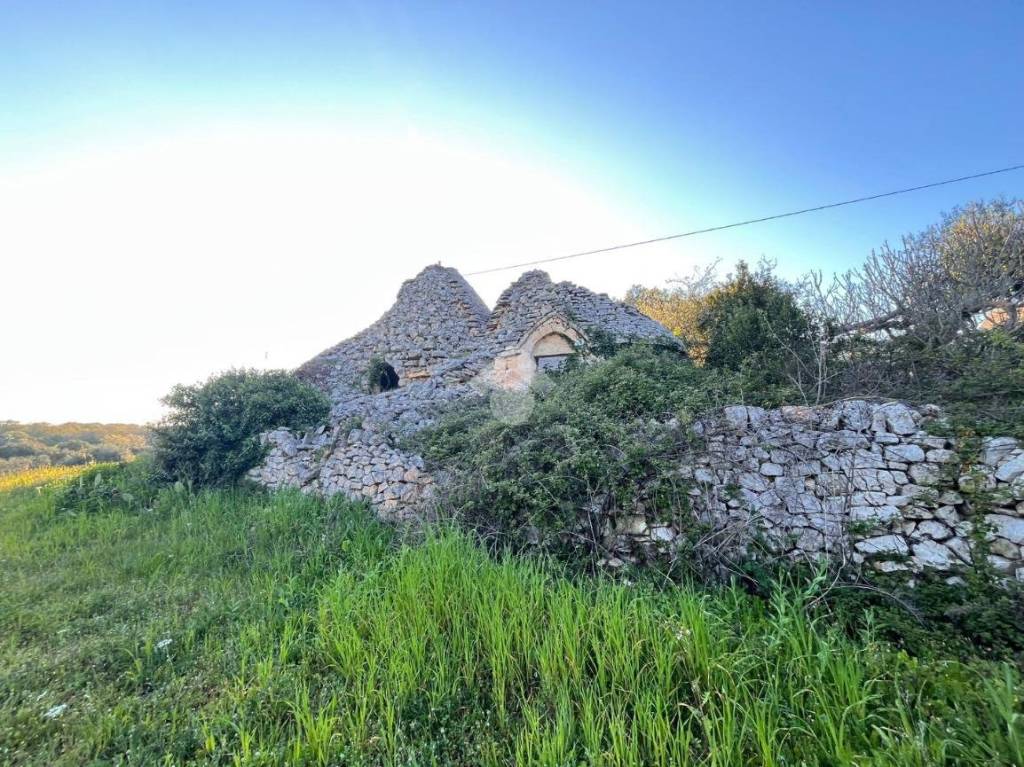 immagine annuncio 5 di 11