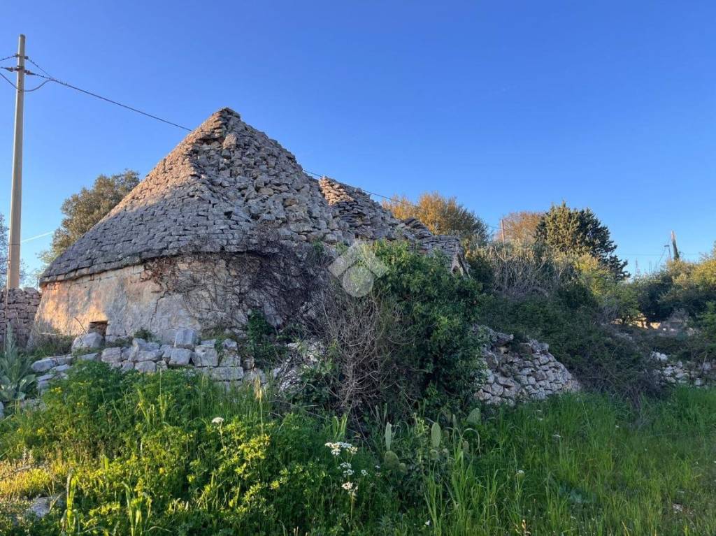 immagine annuncio 7 di 11