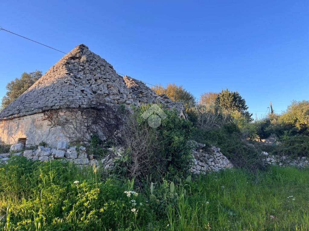 immagine annuncio 8 di 11