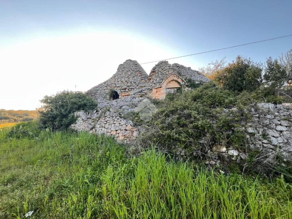 immagine annuncio 9 di 11