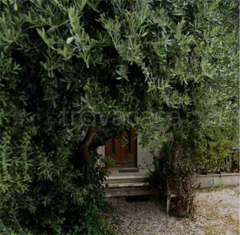 immagine annuncio 7 di 14