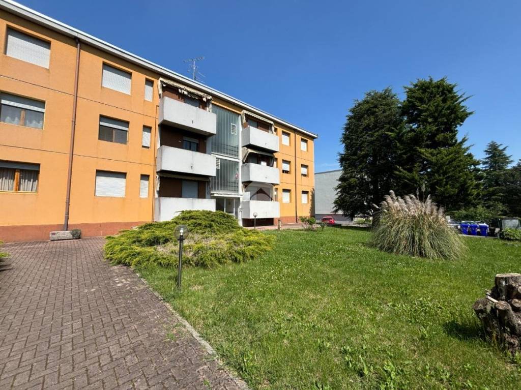 immagine annuncio 3 di 10