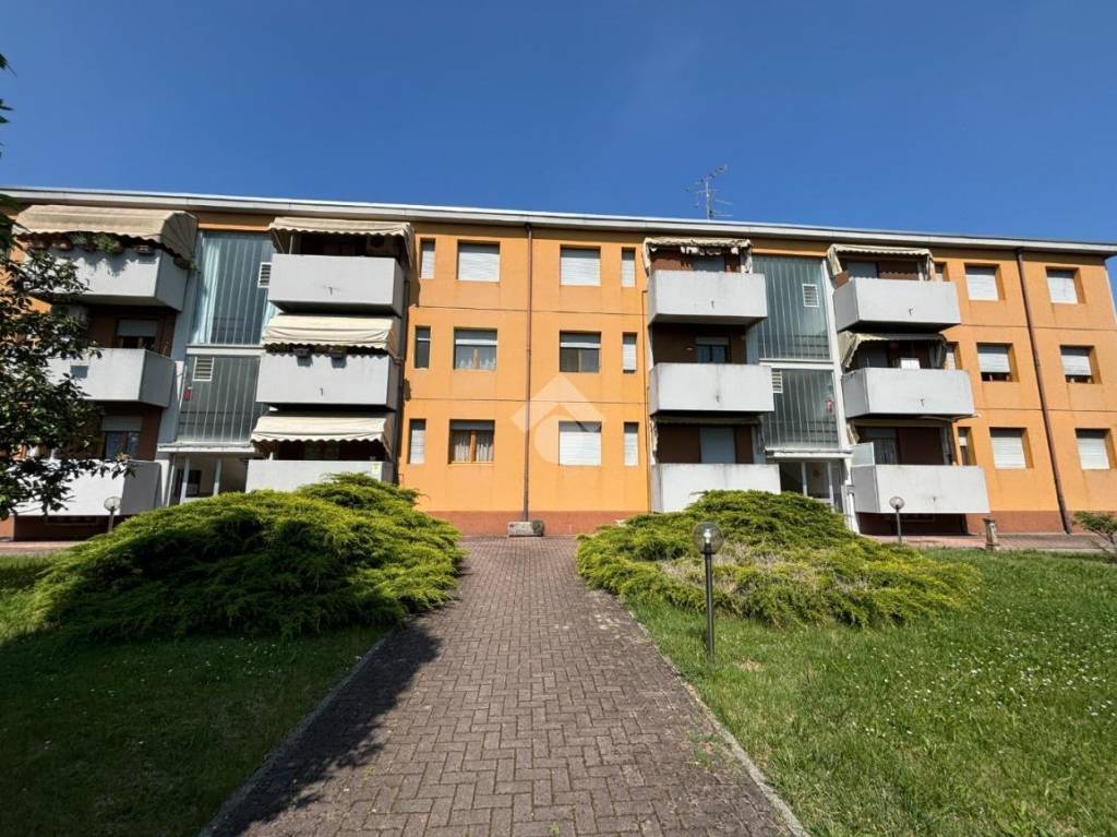 immagine annuncio 6 di 10