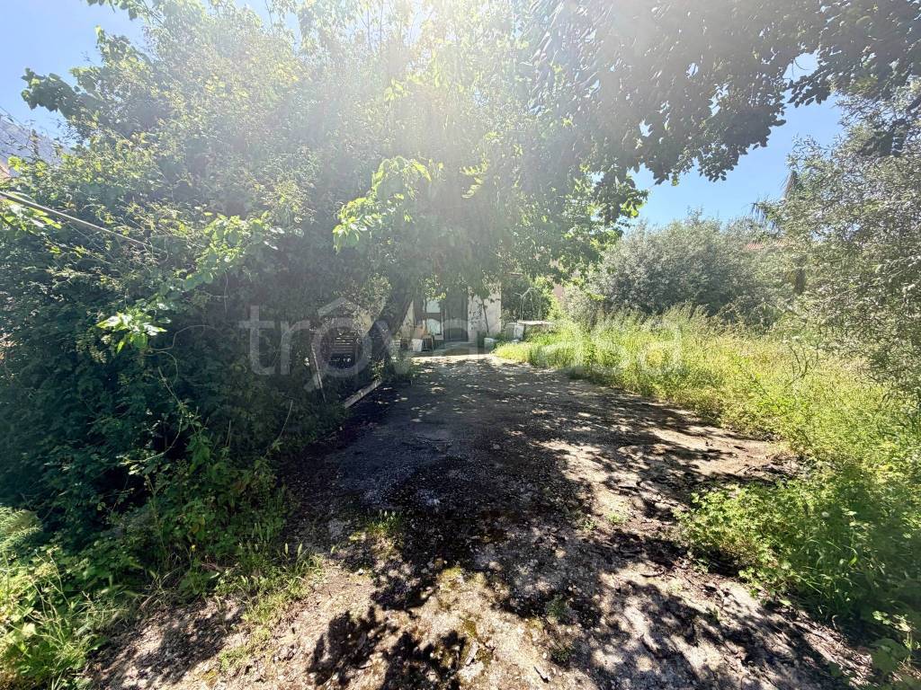 immagine annuncio 2 di 12