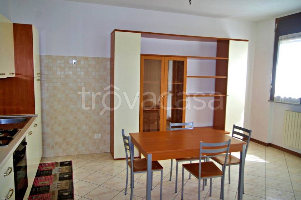 immagine annuncio 3 di 12