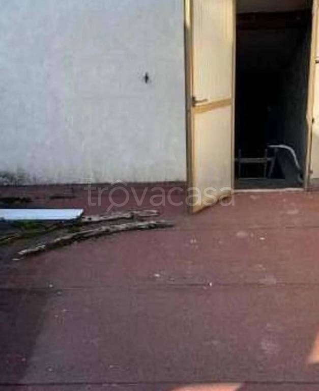 immagine annuncio 5 di 14