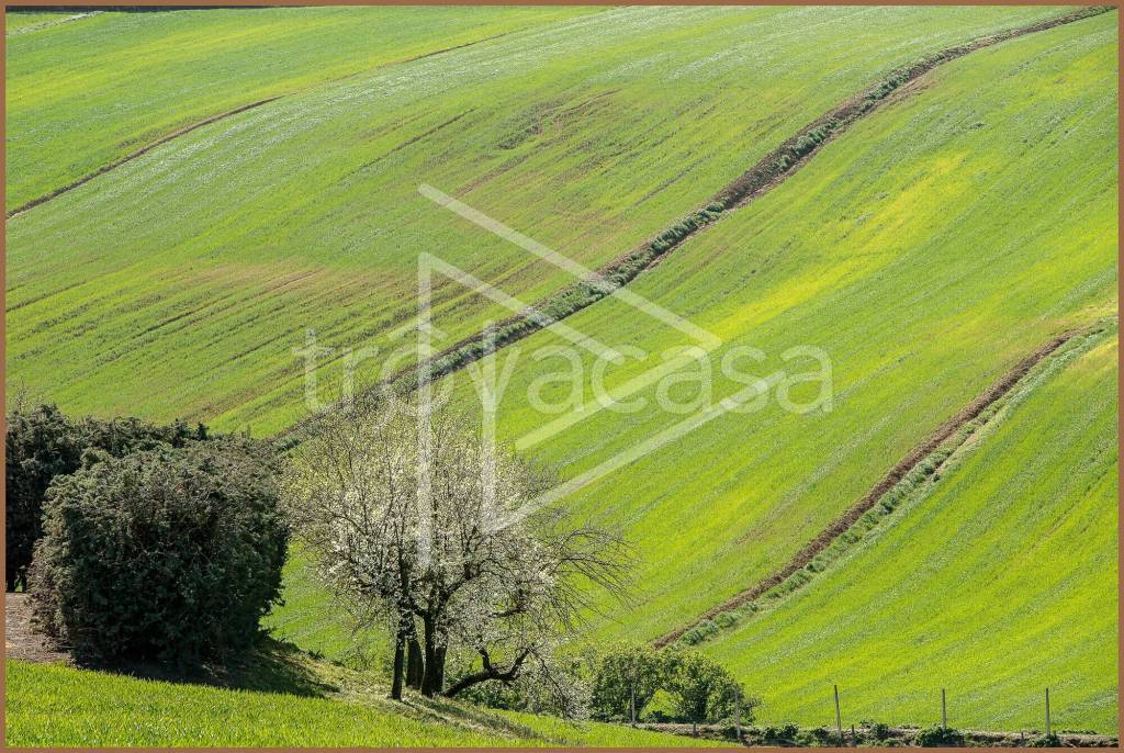 immagine annuncio 1 di 9