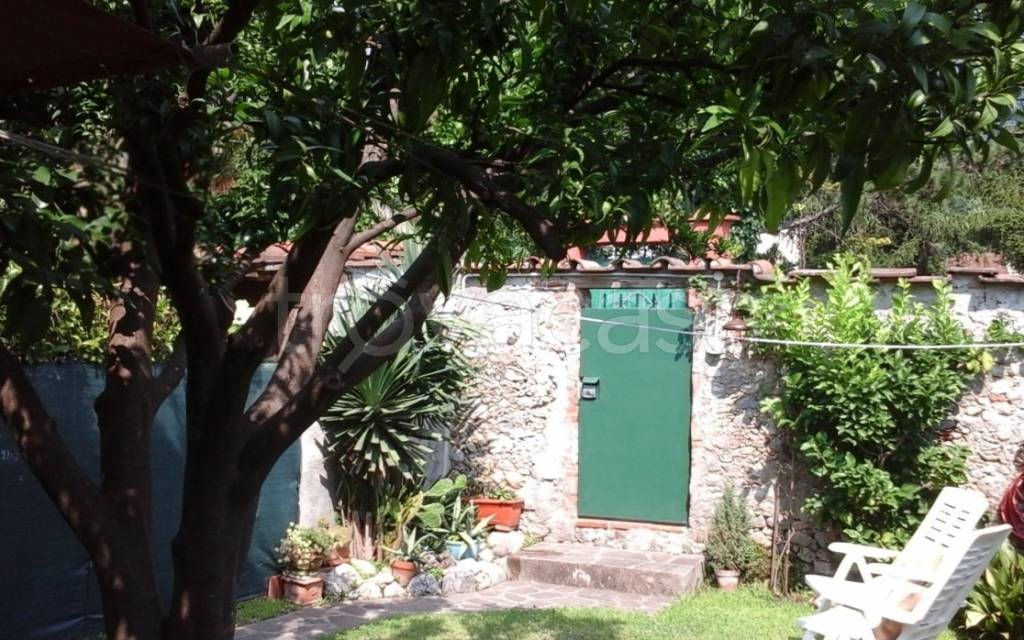 immagine annuncio 1 di 6