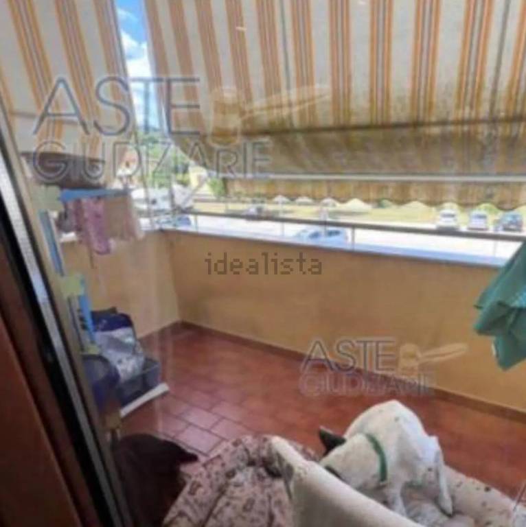 immagine annuncio 2 di 3