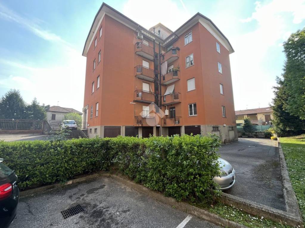 immagine annuncio 1 di 15