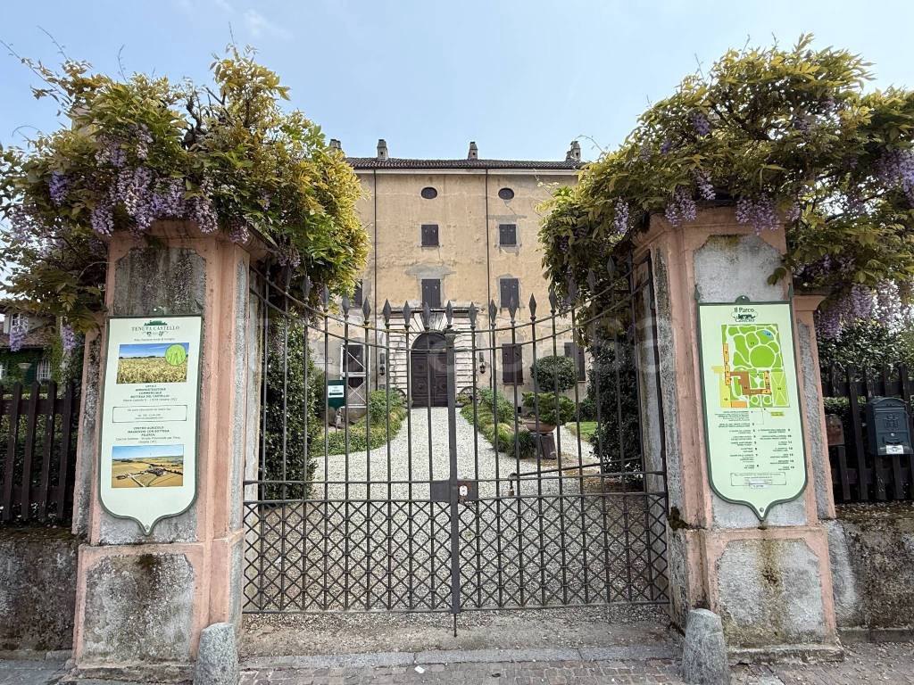 immagine annuncio 4 di 15