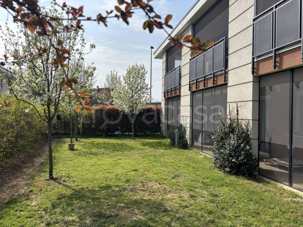 immagine annuncio 4 di 15