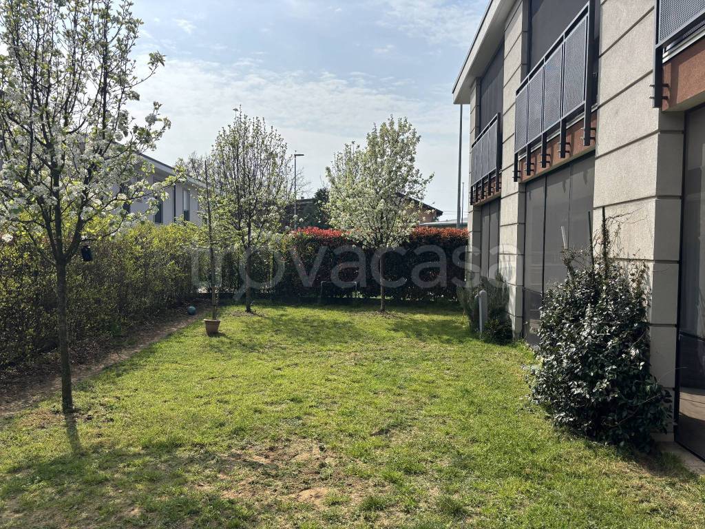 immagine annuncio 6 di 15