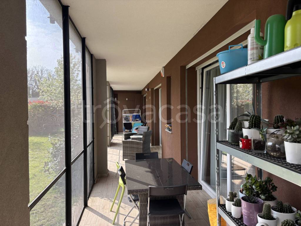 immagine annuncio 8 di 15