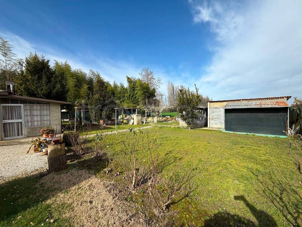 immagine annuncio 4 di 15