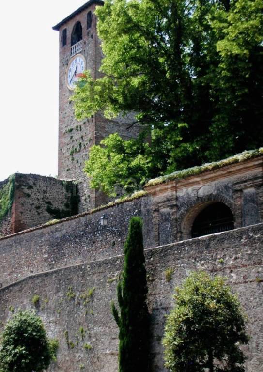 immagine annuncio 5 di 14