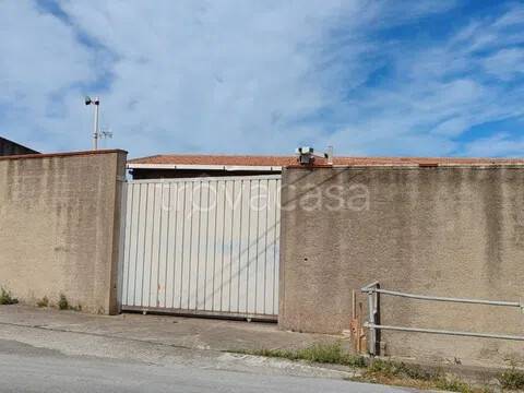 immagine annuncio 6 di 8