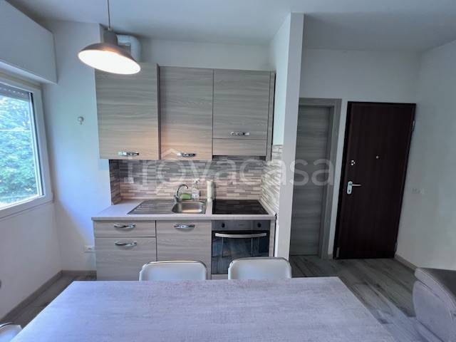 immagine annuncio 4 di 14