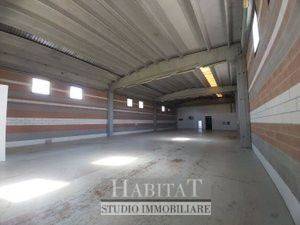 immagine annuncio 3 di 8
