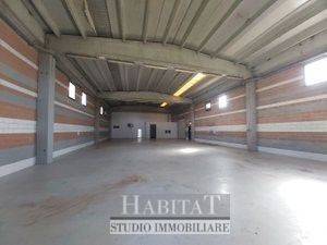 immagine annuncio 4 di 8
