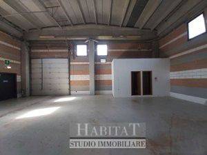immagine annuncio 6 di 8