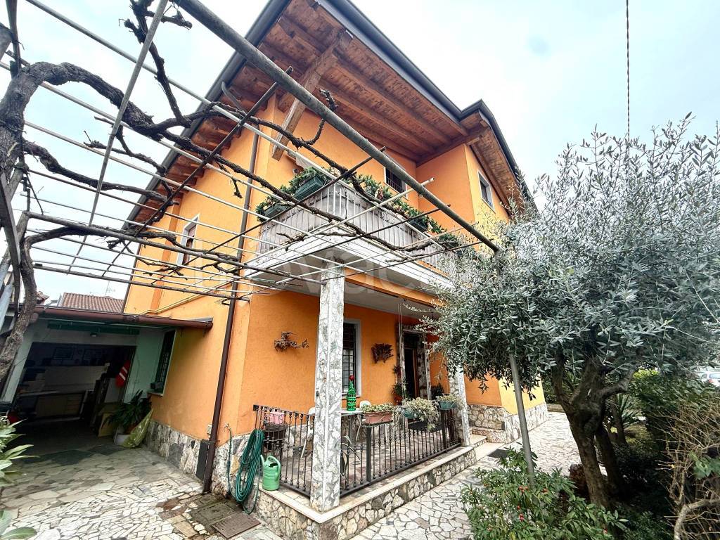 immagine annuncio 1 di 15