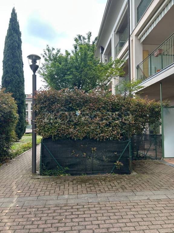 immagine annuncio 10 di 11