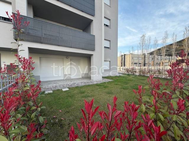 immagine annuncio 2 di 12