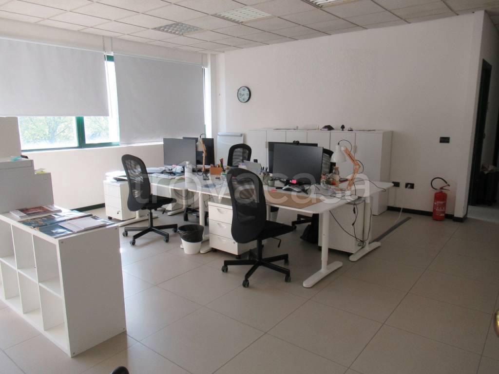 immagine annuncio 2 di 13